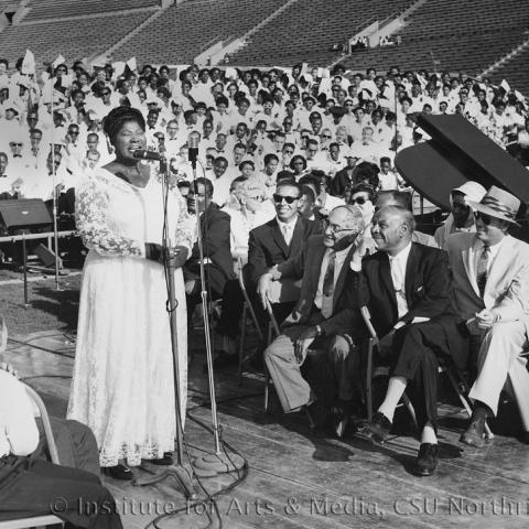 A woman singing in front of large crowd.