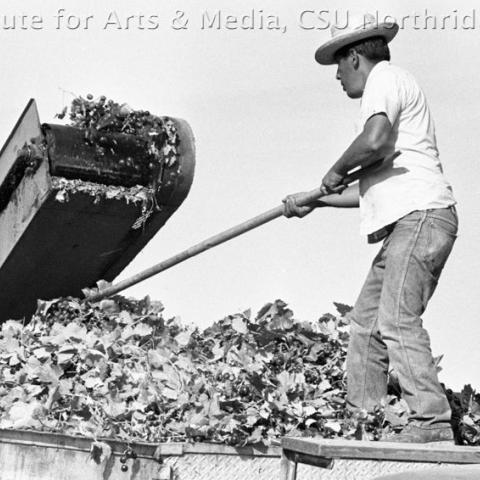 Man working on a harvesting machine