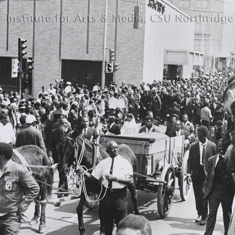 Large crowd of people walking on the street with a horse cart.