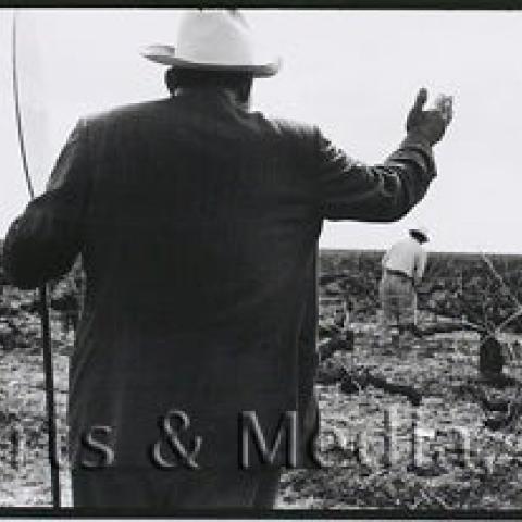 A man standing holding a sign marked Huelga.