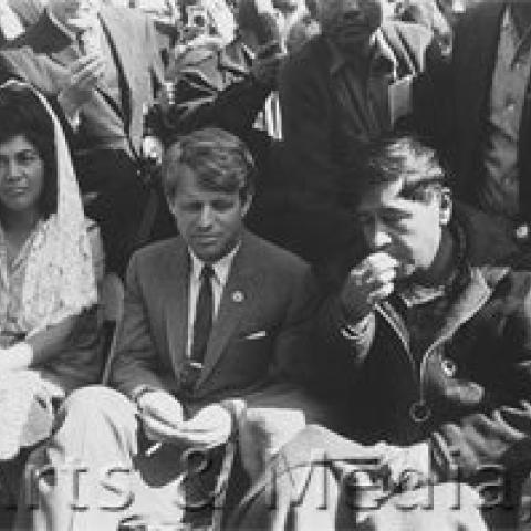 Two men and a woman sitting on chairs sharing food