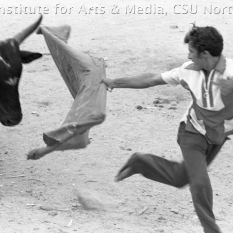 A matador waving a flag at the bull