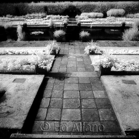 A garden with a pavement.