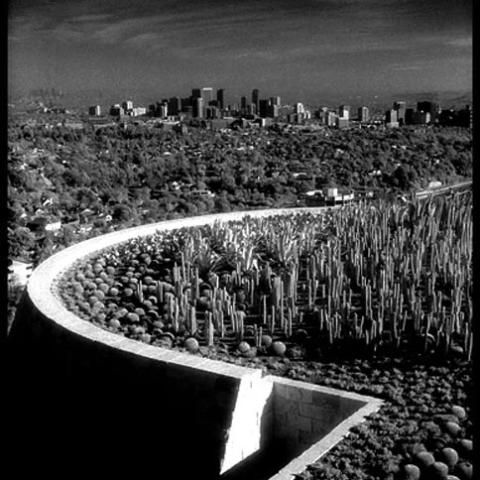 View of city buildings of westwood from a cactus garden