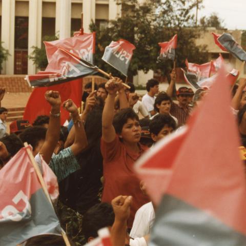 Nicaraguan demonstrators at a pro-Sandinista rally carrying FSLN flags. Box 1, Folder 8.
