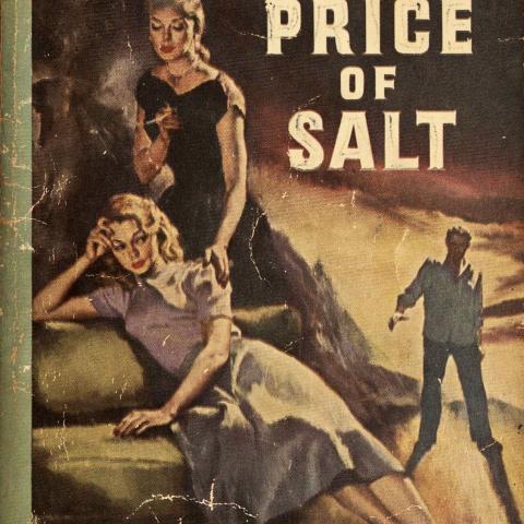 The Price of Salt, PS 3558 I366 P7 1953