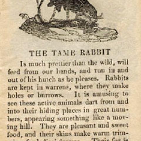 A description of rabbits for children in Book of Beasts, page 3