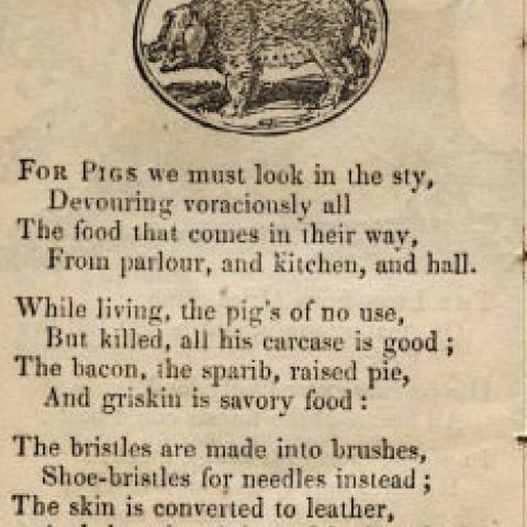 A description of pigs for children in Book of Beasts, page 10