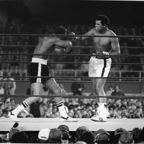 Muhammad Ali and Kenny Norton exchange punches in the ring at Yankee Stadium, New York during the third of three heavyweight boxing matches, September 28, 1976. Guy Crowder Collection. ID: 91.01.GC.P.B1.50