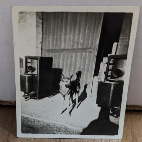 Dog Duffy, 1946-1947, Fred M. Greguras Papers