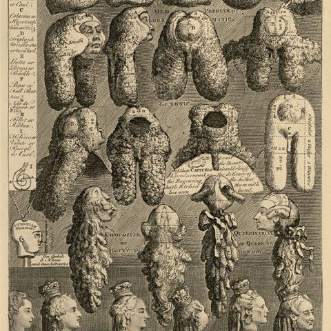 The Five Orders of Periwigs - Second State