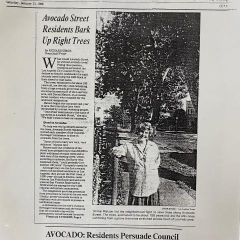 Los Angeles Times article reporting on the successful designation of the trees as Historic-Cultural Monuments