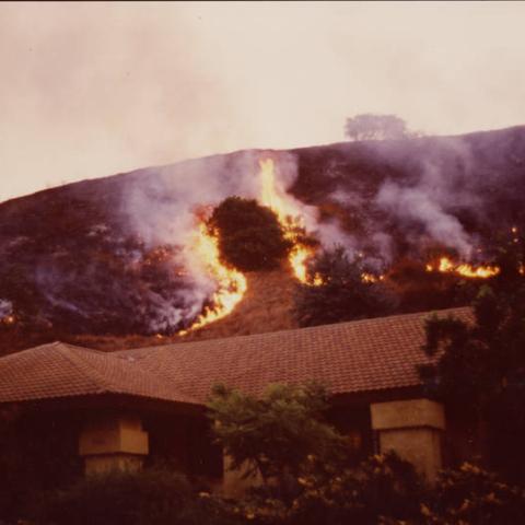 Brush fire in the hills above Burbank, ca. 1970s