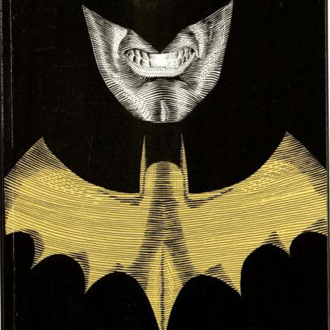 Batman: Master of the Future, 1991