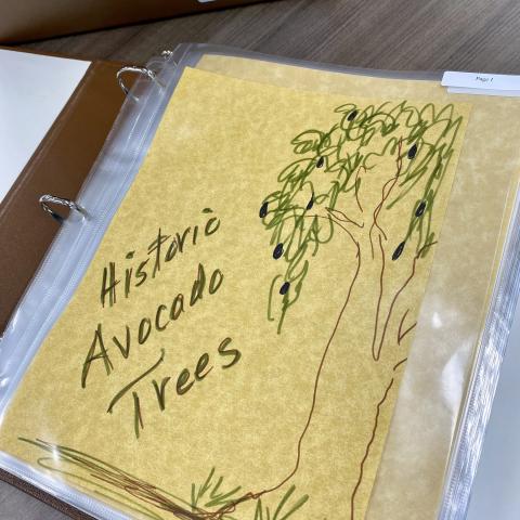 Cover Page from the Historic Avocado Trees Binder 