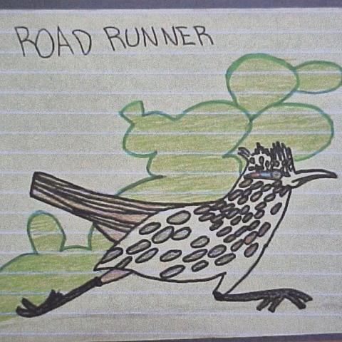 Student drawing of bird