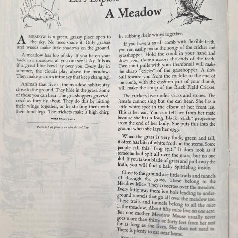 A page from the scrapbook entitled, "Let's Explore a Meadow"