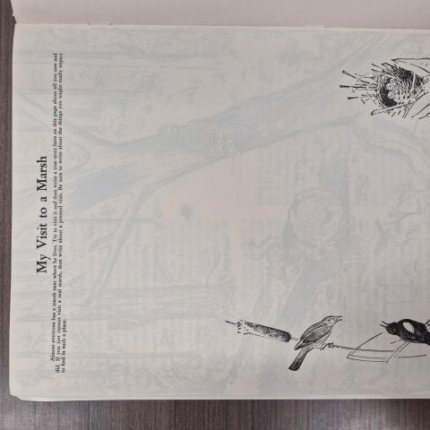 An activity page from the scrapbook