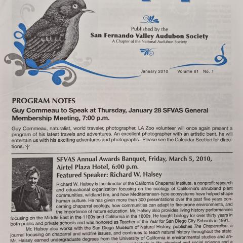 Front page of Phainopepla bulletin