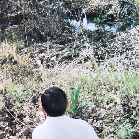 Photo of student and white egret