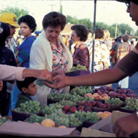 Pacoima Farmers' Market, Pacoima, ca. 1978-1981, ID: PRI35