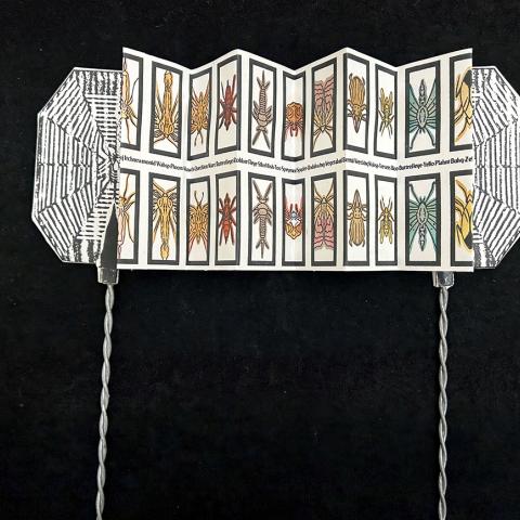 interior paper folded accordion style with colored illustrations of insects; Artist book of Joshua Tamayo, N7433.4.T36 A78 2019