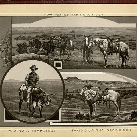Selected pages from Cowboy Life