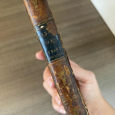 Spine of The Castle of Otranto with an imprinted gold title, PR3757.W2 C3 1786	