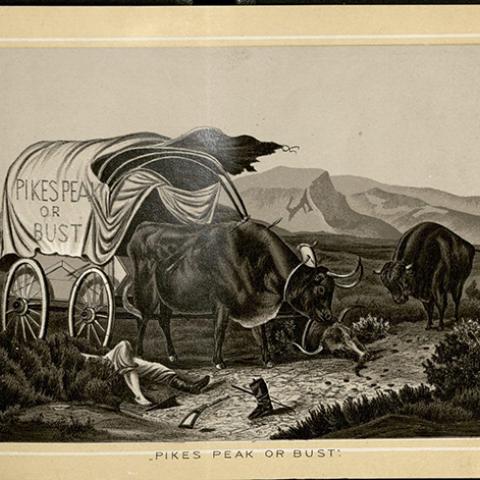 Selected pages from Cowboy Life
