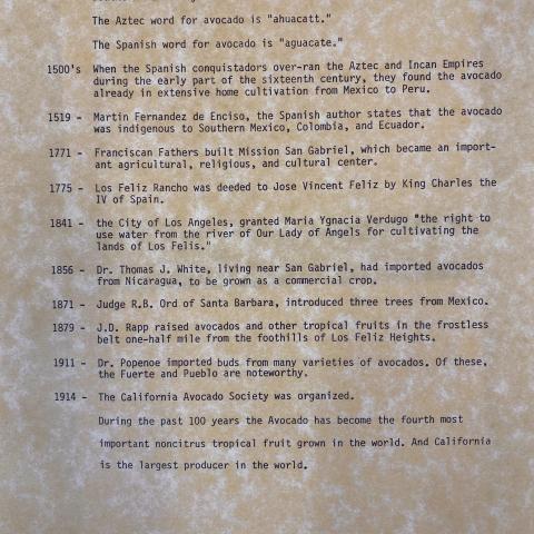 Timeline of the Avocado Trees from the Historic Avocado Trees Binder 