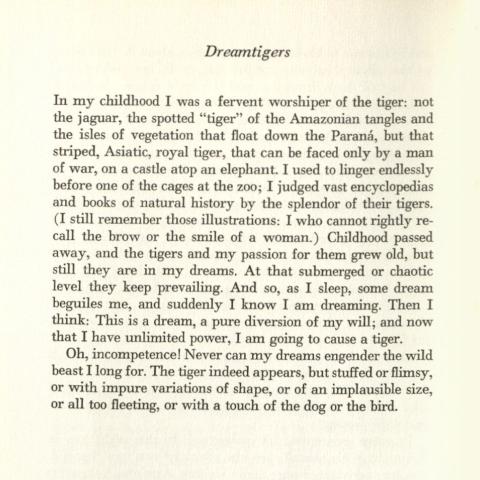 “Dreamtigers,” PQ7797.B635 A23
