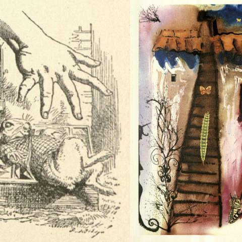 Side-by-side, John Tenniel and Salvador Dalí’s drawing from chapter 4, The Rabbit Sends in a Little Bill in Alice‘s Adventures in Wonderland