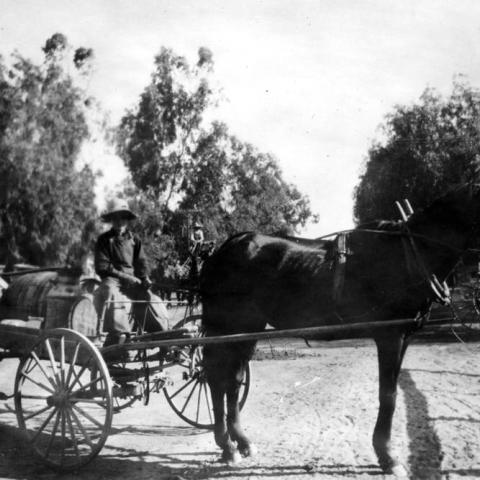 Woman driving horse-drawn milk wagon outside the Weddington Brothers store, Lankershim Boulevard and Chandler Boulevard, ca. 1910, ID: GWMC02