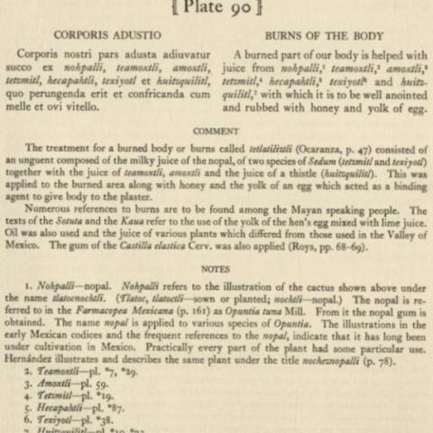 Description of the tlatocnochtli