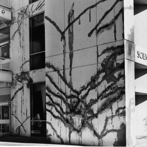 Damage to Science 4, now Magnolia Hall, following the earthquake