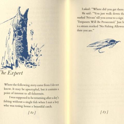“The Expert”