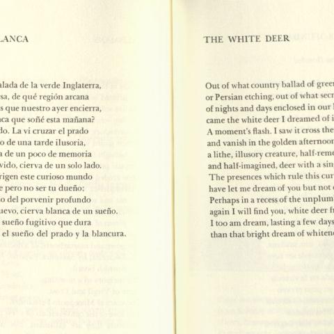 “La Cierva Blanca/The White Deer” in The Gold of the Tigers, PQ7797.B635 O7413 1977