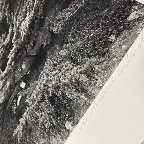 Detail of Wolf Von Dem Bussche signed photographic print, PS3519.E27 P54 1987