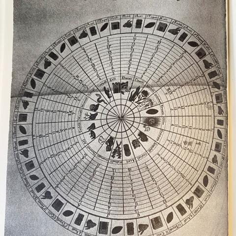 Illustration of a calendar from Los calendarios mexicanos by Mariano Fernández de Echeverría y Veytia