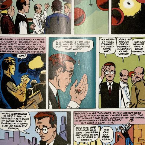 Marvel Masterworks Presents the Amazing Spider-Man, page 5