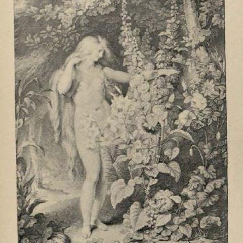 Illustration,"Went forth among her fruits and flow'rs," Paradise Lost, page 244