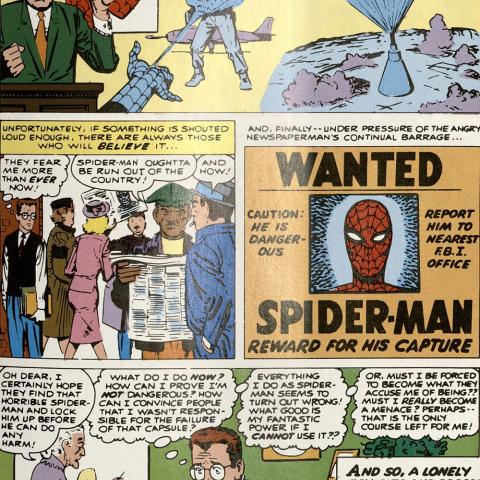 Marvel Masterworks Presents the Amazing Spider-Man, page 29