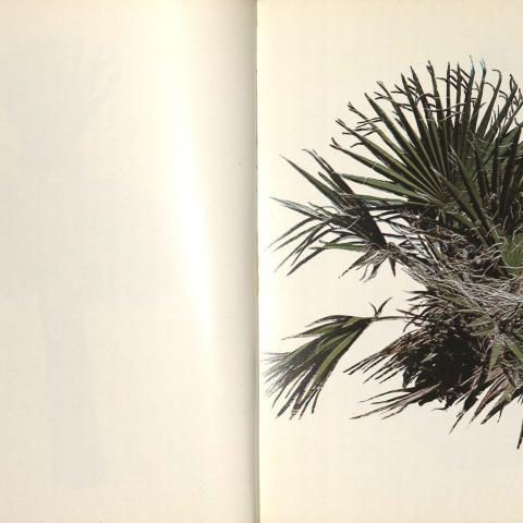 Image from Ruscha's "Colored People," TR 654 R87 1972