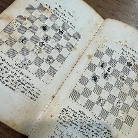 Problems and examples in The Manual of Chess