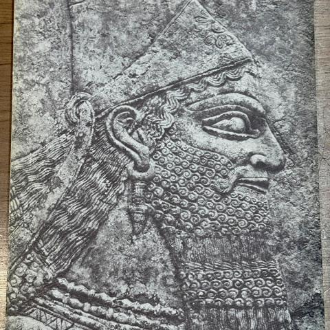 The Art of Asha: Journey to the Cosmic Ocean book