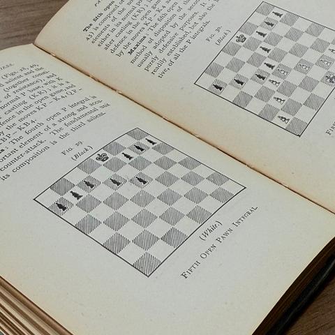 Fifth Open Pawn Integral Diagram from The Minor Tactics of Chess