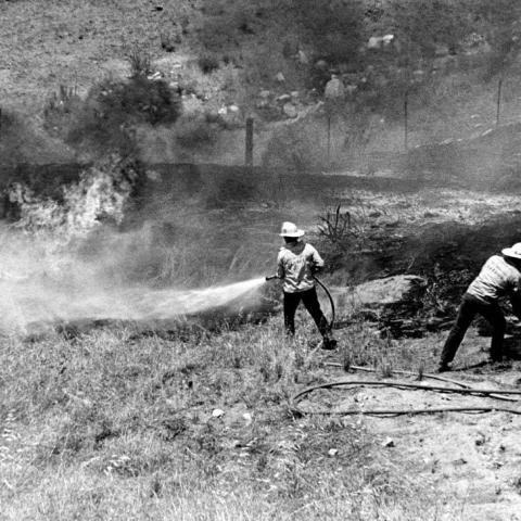 Fire fighters from Fire Station 75 work to extinguish flames in Sylmar, 1980, Robert and Betty Franklin Collection, RBF00 026