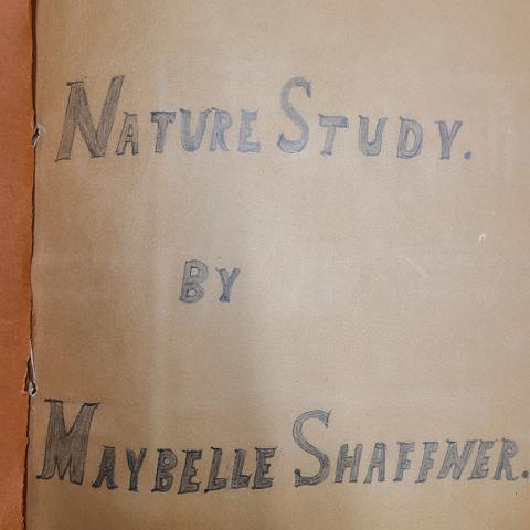 First page of elementary school herbarium