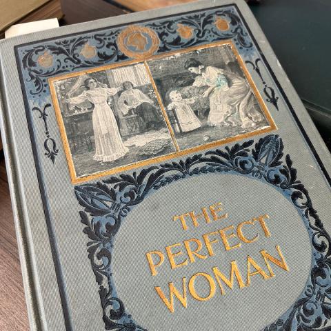 Cover of Perfect Womanhood for Maidens, Wives, Mothers. RG121 .M5 1903