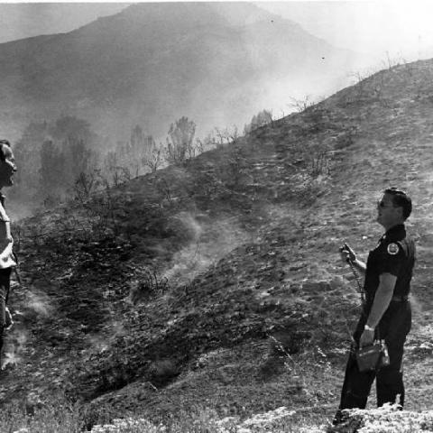 Firemen inspect hills after a brush fire in Calabasas, 1965, SFVHS201